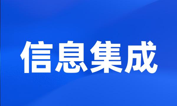 信息集成