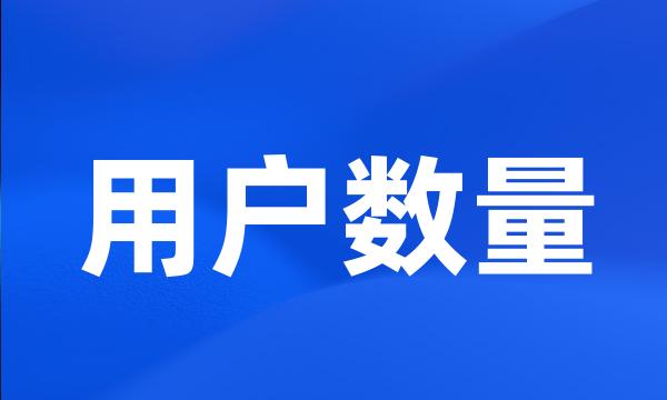 用户数量