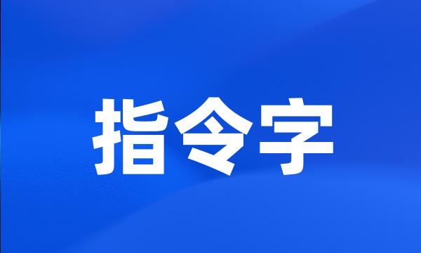 指令字