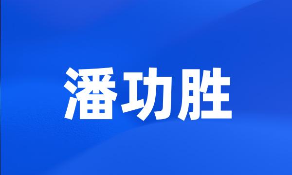 潘功胜