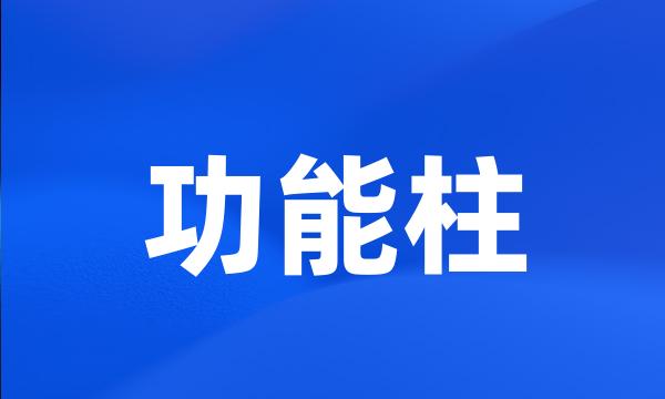 功能柱