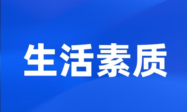 生活素质