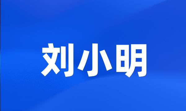 刘小明