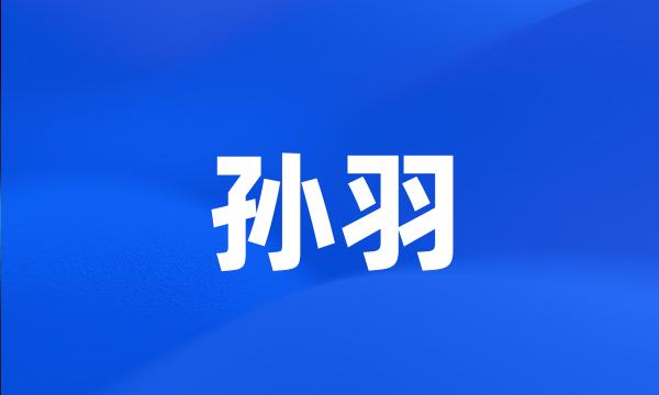 孙羽