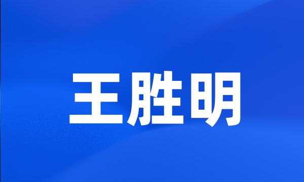 王胜明