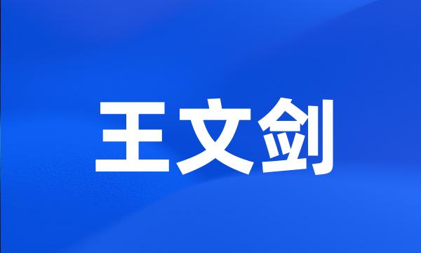 王文剑