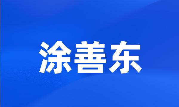 涂善东