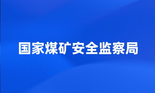 国家煤矿安全监察局