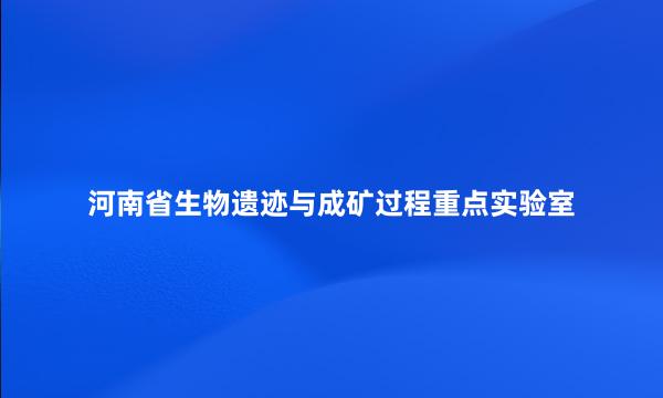 河南省生物遗迹与成矿过程重点实验室