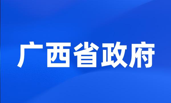 广西省政府