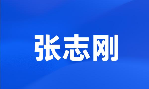 张志刚