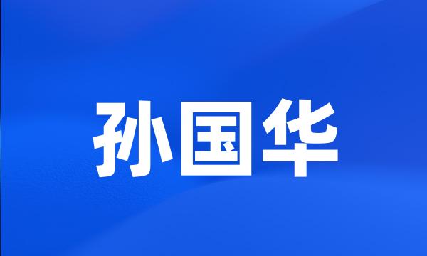 孙国华