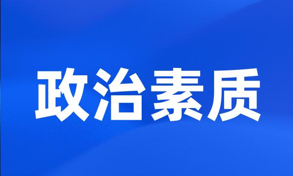 政治素质