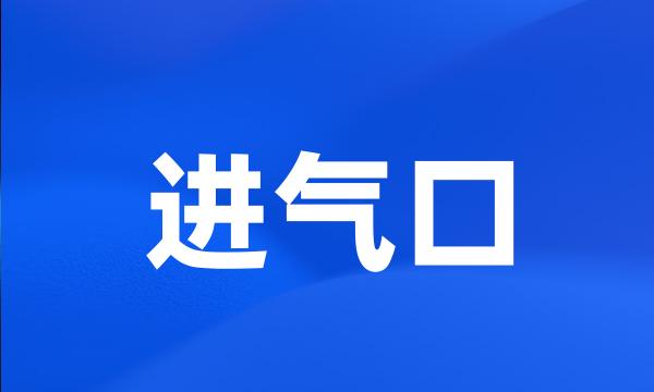 进气口