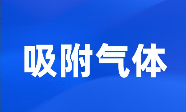 吸附气体