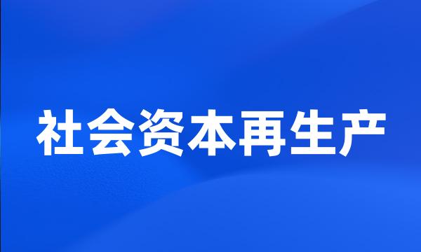 社会资本再生产