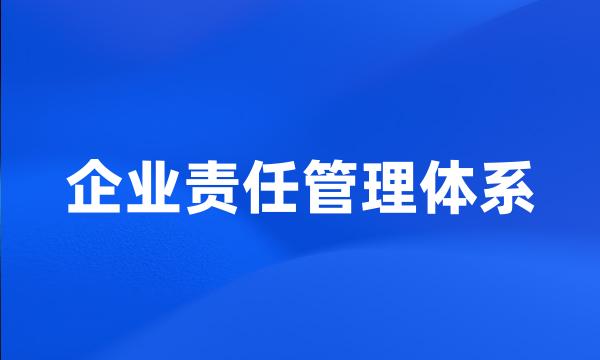 企业责任管理体系