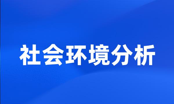 社会环境分析