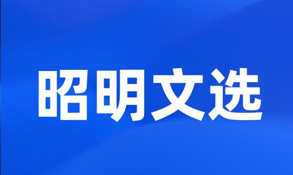 昭明文选