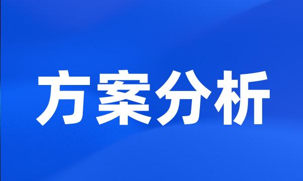 方案分析