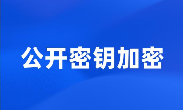 公开密钥加密