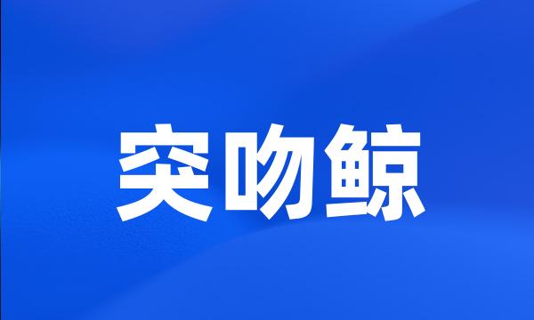 突吻鲸