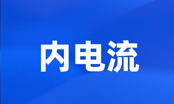 内电流