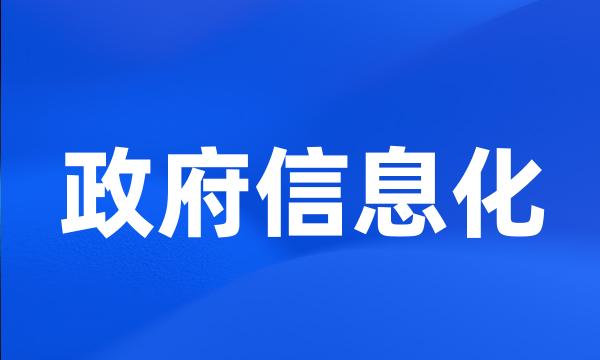 政府信息化