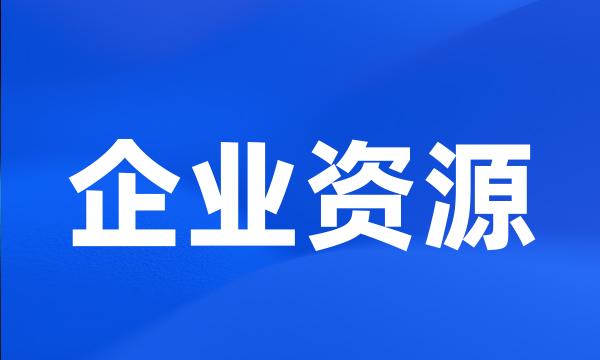 企业资源