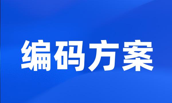 编码方案