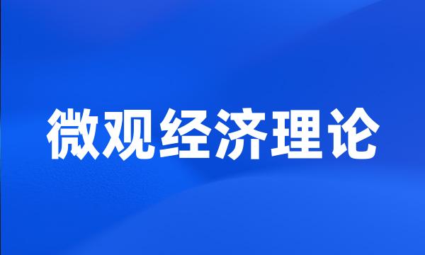 微观经济理论