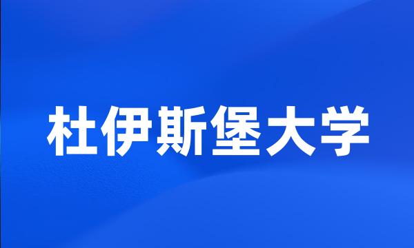 杜伊斯堡大学