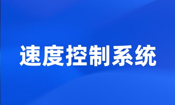 速度控制系统