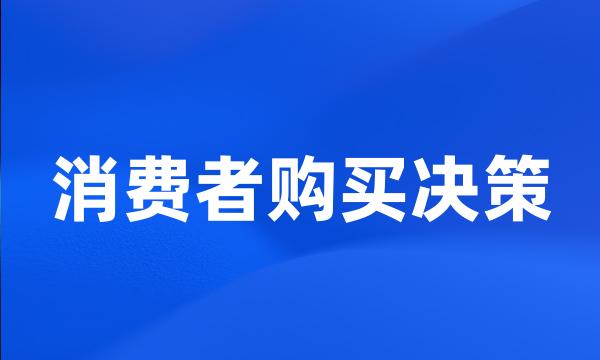 消费者购买决策