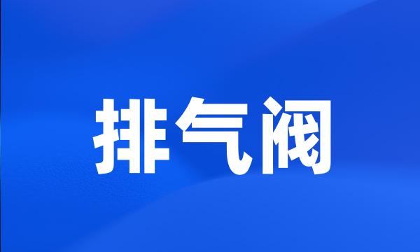 排气阀