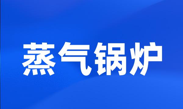 蒸气锅炉