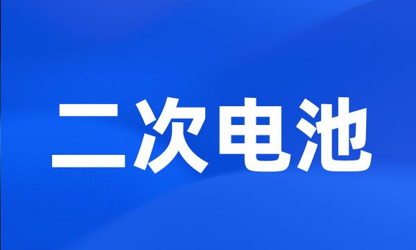 二次电池