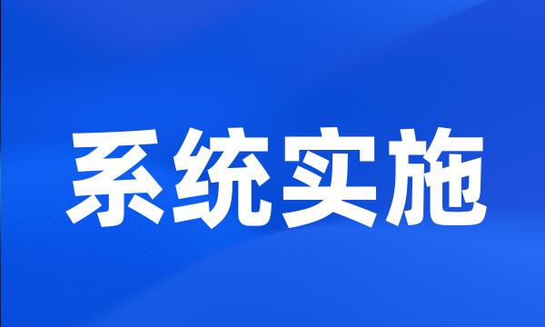 系统实施