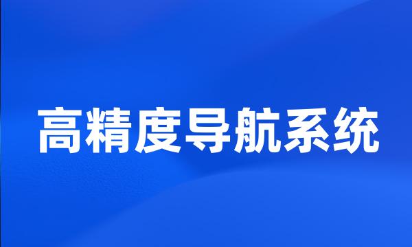 高精度导航系统