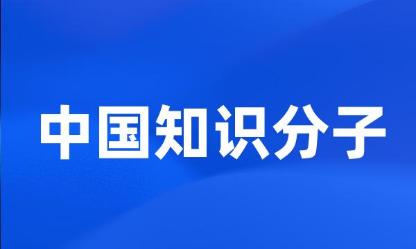 中国知识分子