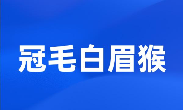 冠毛白眉猴