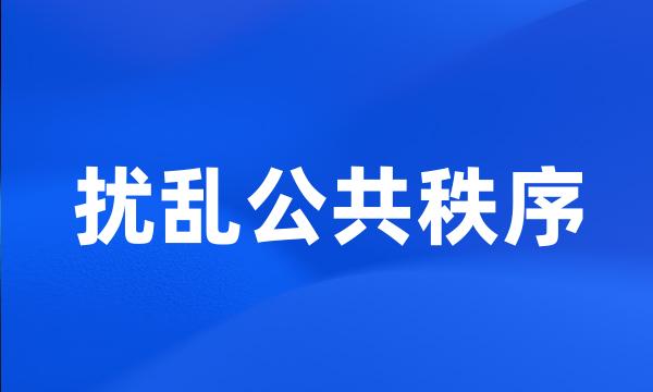 扰乱公共秩序