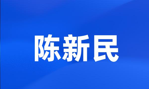 陈新民