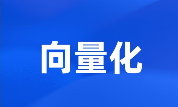 向量化