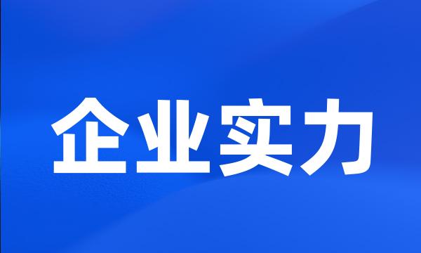 企业实力