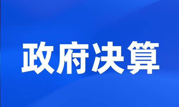 政府决算