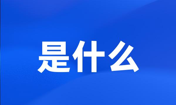 是什么