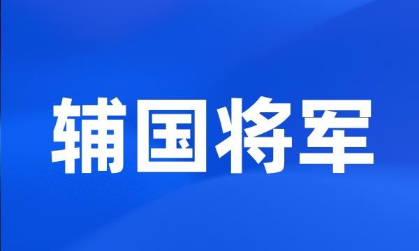 辅国将军