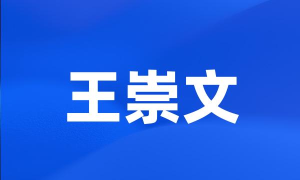 王崇文