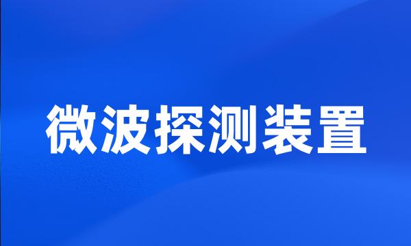 微波探测装置